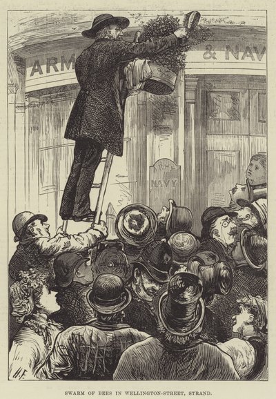 ウェリントン通り、ストランドのミツバチの群れ 作： Harry Furniss